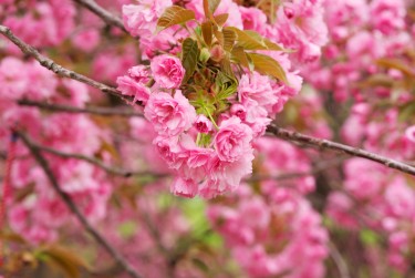 杭州萧山区7线下个人借款平台一站式服务，轻松解决资金难题