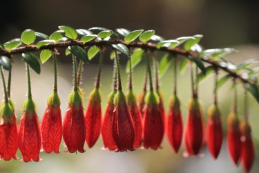 杭州萧山区7零用贷短借：轻松解决临时资金需求
