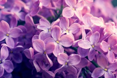 杭州萧山区7企业急用钱贷款攻略：快速融资解燃眉之急